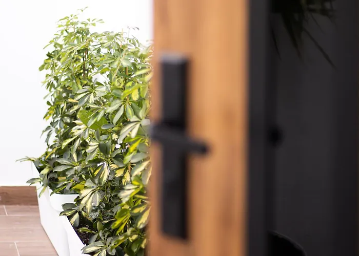 Vita Verde Hotel Torrevieja